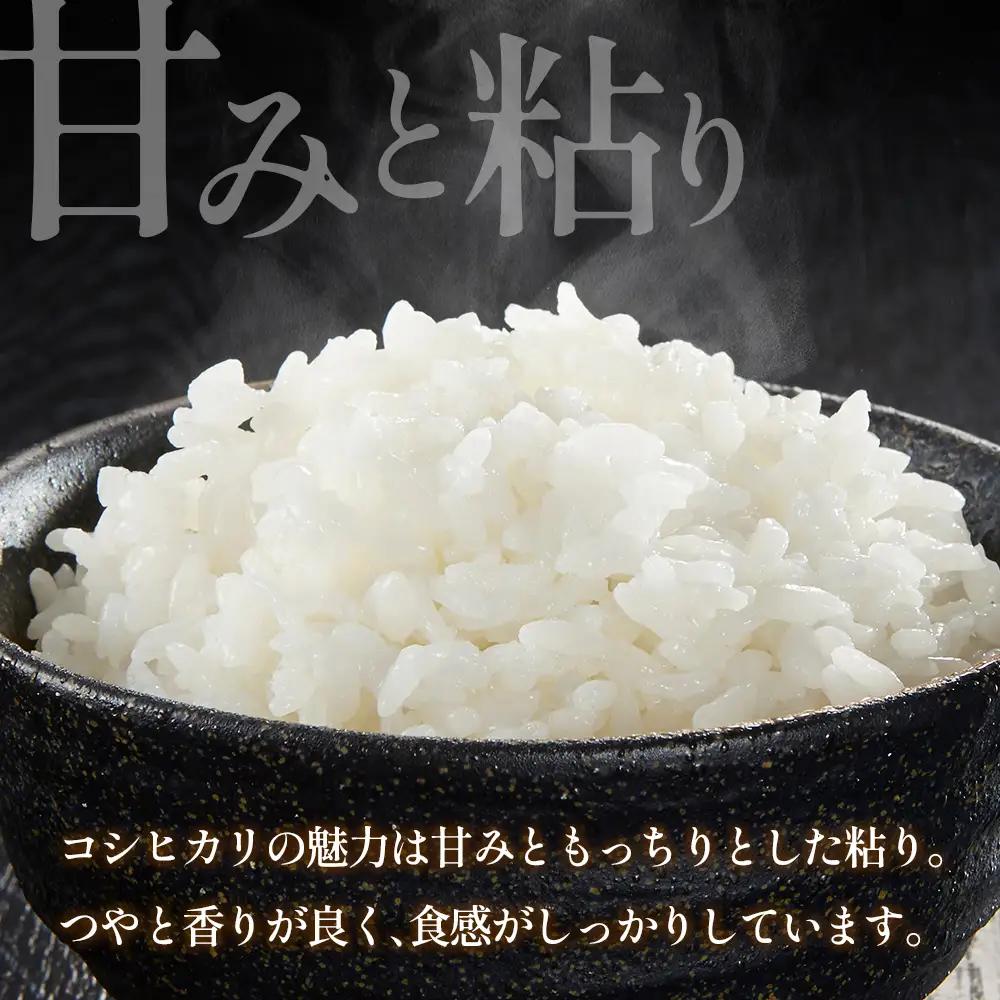 『定期便』全3回 コシヒカリ 精米 3kg 大朝の米こしひかり 栄ファーム 毎月届く定期便 米どころ北広島町のおいしいお米_SA091_002s3