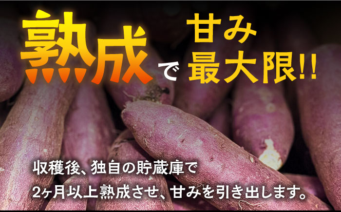 【数量限定】【ねっとり甘い熟成サツマイモ】冷凍焼き芋（紅はるか） 10本(S〜M) / さつまいも やき芋 冷凍 小分け 個包装 / 南島原市 / 池田海陸物産 [SEW002]