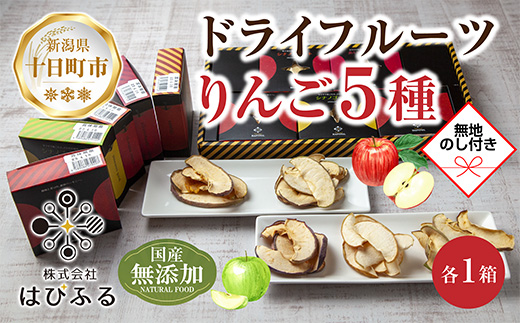 【熨斗】ドライフルーツ りんご 5種(シナノゴールド シナノ