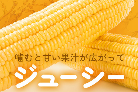 【予約受付】スイートコーン すいーとかよちゃんファームのとうもろこし 10本《2025年1月中旬～5月末順次発送予定》【 沖縄 石垣 野菜 やさい コーン 甘い トウモロコシ コーン 産地直送 】KF