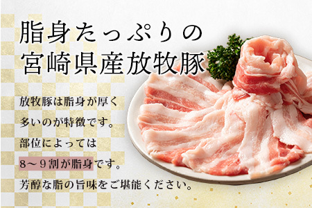 宮崎県産【訳あり】THE HOUBOQ 魅力の満足セット 豚肉 スライス肉指定バージョン 合計2.5kg[宮崎 椎葉村 豚肉 豚 肉 ぶた にく ぶたにく おにく お肉 訳あり スライス スライス肉 