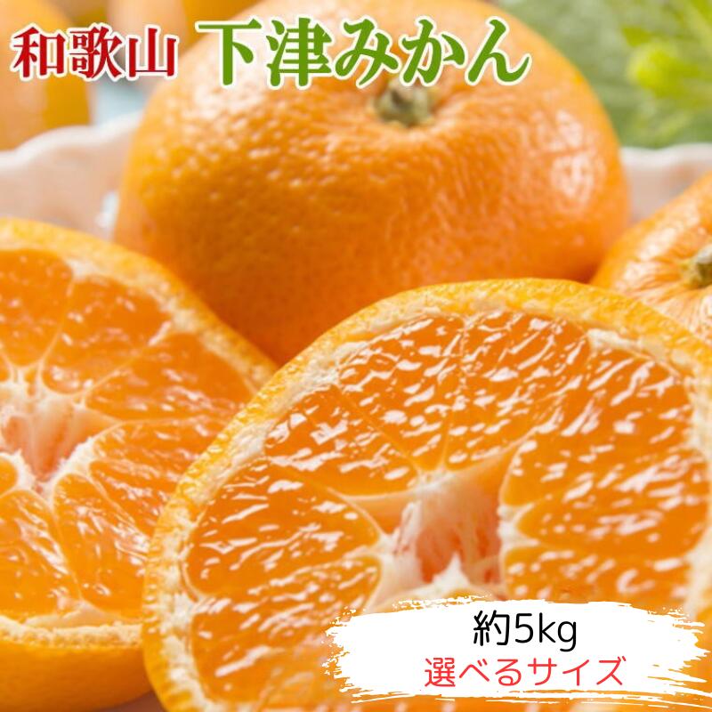 【ふるさと納税】【産直・秀品】和歌山下津みかん約5kg【選べるサイズ】＜2025年11月中旬～2026年1月中旬頃に順次発送＞ / みかん 柑橘 果物 果実 和歌山 下津 早生