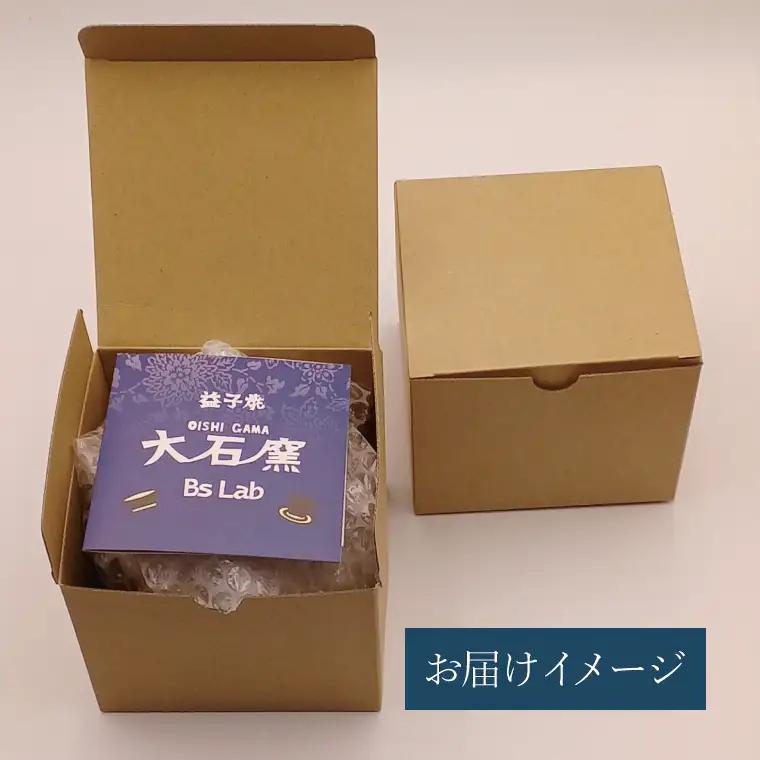 益子焼 恐竜マグカップ T-rex Jane 大石窯 益子町 BW004-2