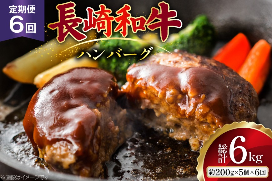 AJ587 【6回定期便】長崎和牛 ハンバーグ 約1kg (200g×5個) [ 肉 牛肉 和牛 おいしい ひき肉 焼くだけ おかず まるしん商会 黒牛 長崎県 島原市 ]