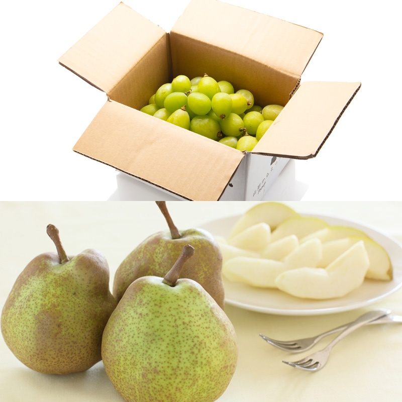 【定期便６回】厳選フルーツお楽しみ FZ25-990