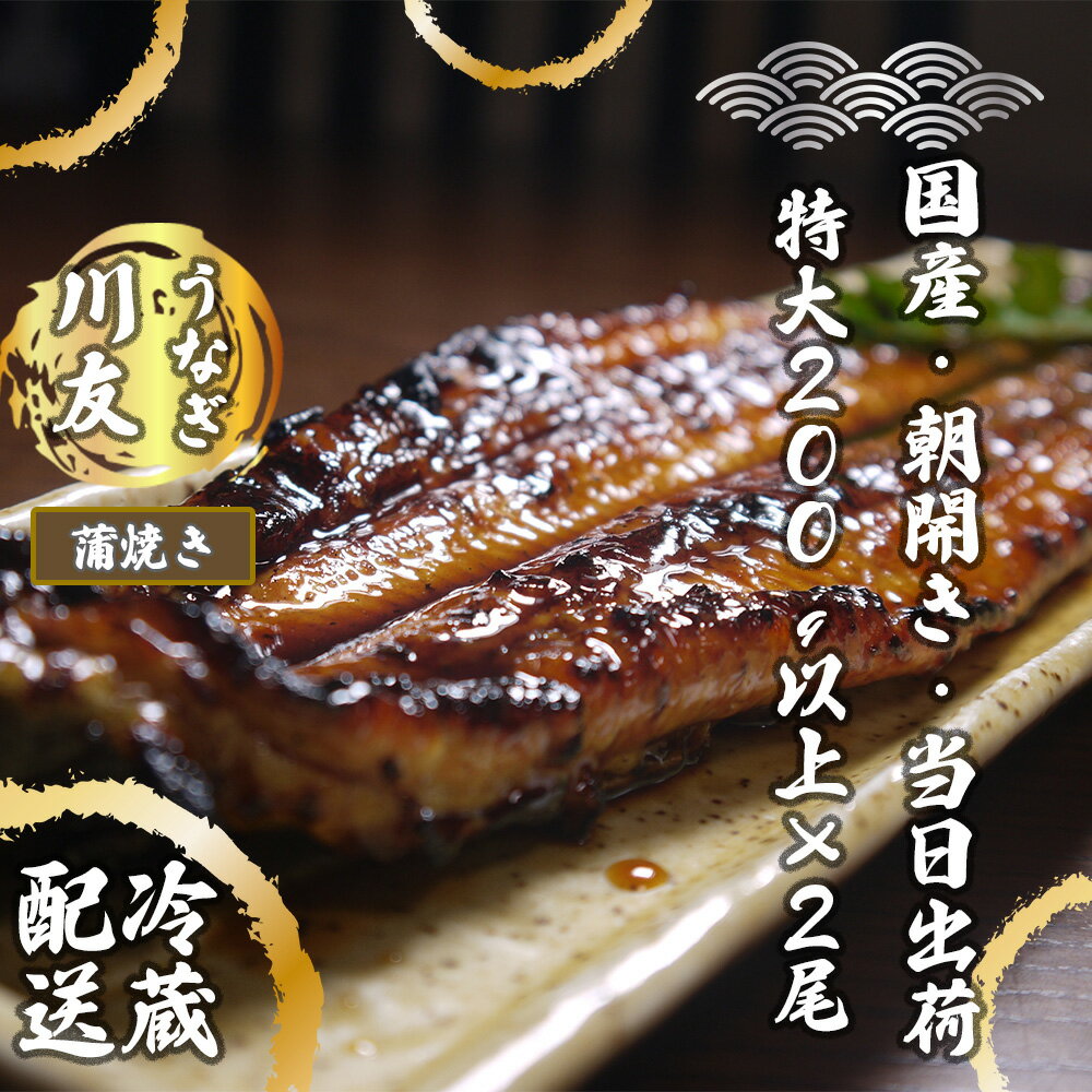 【ふるさと納税】朝開き国産うなぎ2尾（1尾あたり約200g） 蒲焼き（タレ付）国産鰻 ウナギ(AK003）