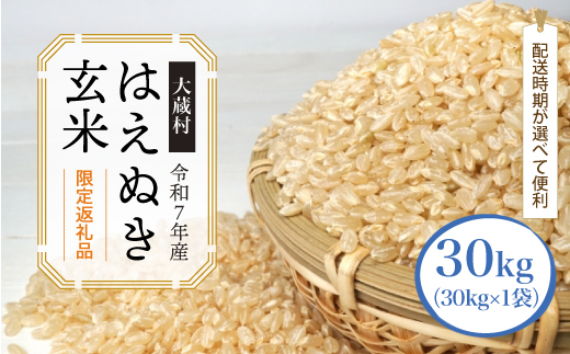 ■数量限定■ 令和8年6月上旬発送 ＜令和7年産＞ はえぬき 【玄米】 30kg （30kg×1袋） 沖縄県・離島配送不可　大蔵村