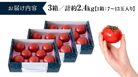 【先行予約】 【 定期便 】 スーパーフルーツトマト てるて姫 小箱 約800g×3回お届け！ 糖度9度以上 (2024年2月より発送開始) トマト とまと 野菜 茨城県産 [BC052sa]