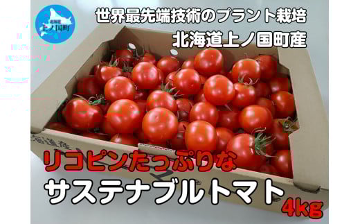 北海道上ノ国町 寅福菜園の高リコピントマト「サステナブルトマト」　4㎏