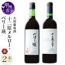 【ふるさと納税】 ワイン 2本 セット 赤 大和葡萄酒 十二原メルロー ベリー瑛 飲み比べ ミディアム 国産ワイン 720ml お酒 母の日 父の日 記念日 ギフト プレゼント 山梨県 甲州市 （MG） 【B15-694】