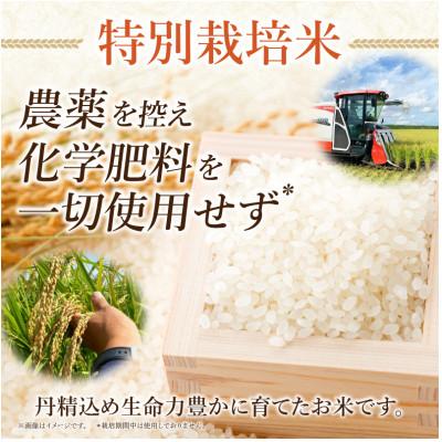 ふるさと納税 西尾市 特別栽培米西尾産コシヒカリ《ぬくもり》【5kg/袋×1袋】・D024-14 |  | 01