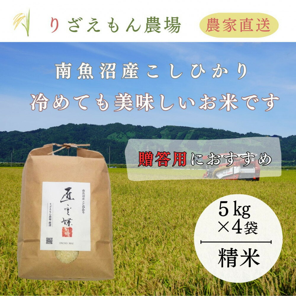 【ふるさと納税】《新米予約受付》白米20kg「5kg×4袋」「贈答用にもおすすめです」　令和7年産　南魚沼産こしひかり　魚野川流域　匠 雲蝶(たくみ　うんちょう）＼生産農家直送／【2025年10月上旬より順次発送予定】