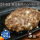 【ふるさと納税】No.147 【牛壱】黒毛和牛ハンバーグ5個（約150g×5個） ／ 牛肉 加工肉 真空パック 送料無料 大阪府