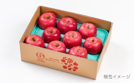 【訳あり】 サンふじ 約3kg 6〜12玉［おぶせファーマーズ］ 不揃い 規格外 家庭用 りんご 林檎 リンゴ 果物 フルーツ ふじ 長野 信州 数量限定  【2025年11月中旬〜2026年2月下旬