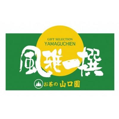 ふるさと納税 豊後高田市 【お茶】 豊後のお茶の山口園が贈るこっそり飲んでほしい白折100g5本セット | 煎茶 お茶 白折 |  | 03