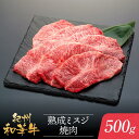 【ふるさと納税】紀州和華牛 熟成 ミスジ 焼肉 500g | 肉 お肉 にく 食品 人気 おすすめ 送料無料 ギフト