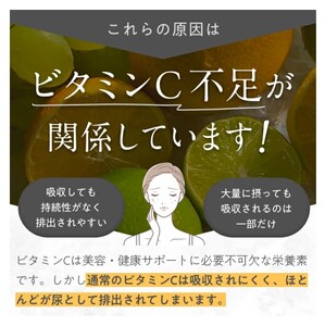 「Liposome Vitamin - 5C」高濃度リポソーム ビタミンC パウダー サプリメント（約30日分・個包装スティック）リポソームビタミンCを含む5種類の高濃度ビタミンC・合成保存料フリー・