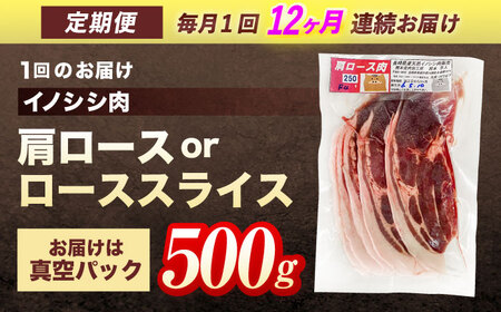 【12回定期便】天然イノシシ肉 肩ロース or ロース スライス 500g / ジビエ 猪肉 いのしし肉 ジビエ肉 肉じゃが用肉 イノシシ いのしし焼肉 長崎ジビエ 猪 ぼたん鍋 鍋肉 猪鍋 ジビエ鍋