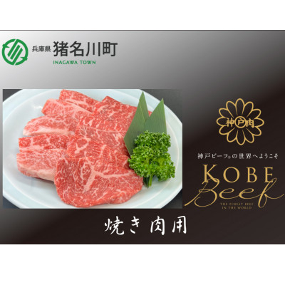 
                  神戸ビーフ　焼肉用　500g　INGWY2【1431603】
                