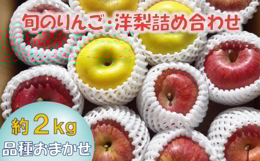 先行予約 【清水農園】 旬のりんご(洋梨含む) 大玉 約2kg 品種おまかせ 1種～2種 【 リンゴ 林檎 洋ナシ 果物 フルーツ 期間限定 】 2025年9月頃から発送予定 RT2826