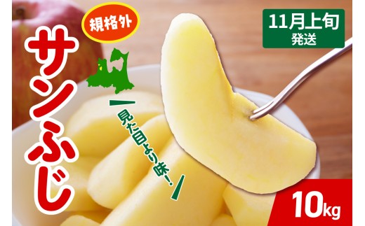 【2026年11月上旬発送】りんご サンふじ 約 10kg 規格外 程度 青森 五所川原 不揃い サン ふじ りんご規格外