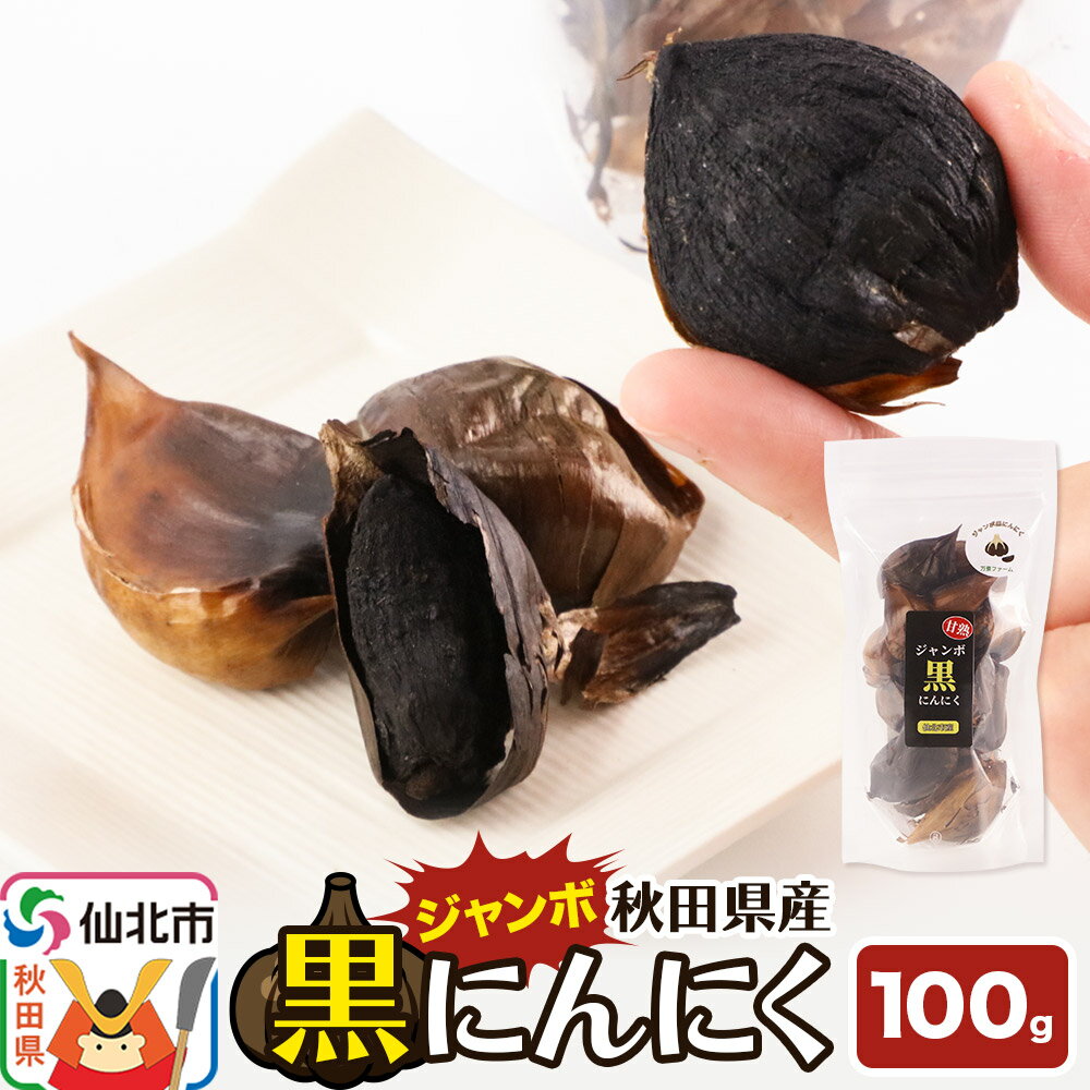 【ふるさと納税】秋田県仙北市産 ジャンボ黒にんにく 100g×1パック＜ゆうパケット＞