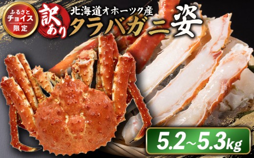 
                  《チョイス限定》北海道オホーツク産 訳アリ 冷タラバガニ姿　5.2～5.3kg | オンライン申請 ふるさと納税 北海道 雄武 北海道産タラバガニ タラバ カニ かに 蟹 冷凍 海産 海産物 ギフト 贈り物 お取り寄せ ワンストップ マイページ 雄武町【1242301】
                