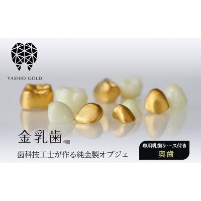 ふるさと納税 姫路市 [53651094]金乳歯(奥歯)抜けた乳歯から歯科技工士が作る純金製オブジェ 専用乳歯ケース付き |  | 01