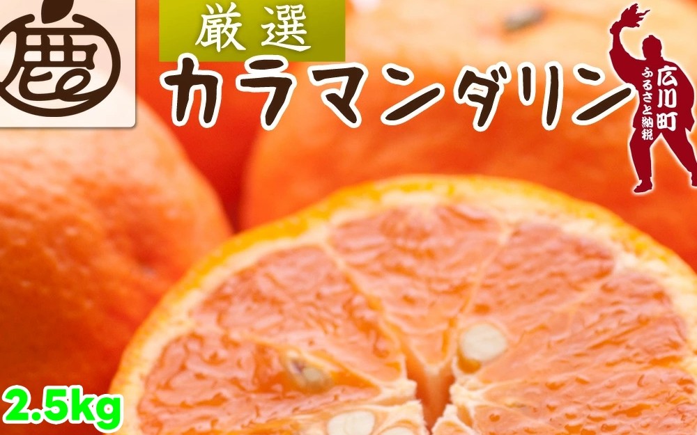 
            カラマンダリン 2.5kg+250g（痛み補償分） 厳選 / カラ カラオレンジ カラみかん 南津海 なつみ 高級 和歌山 有田 柑橘 晩柑 ※4月上旬～5月順次発送 ※北海道・沖縄・離島への配送不可 【ikd015-p-2d5A】
          