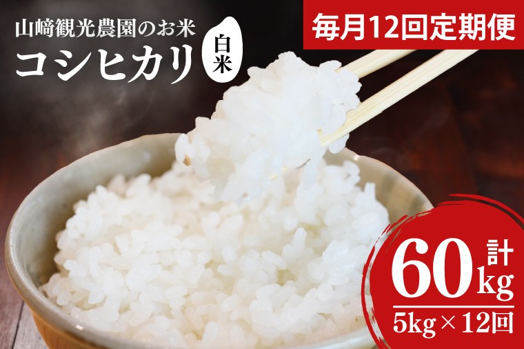 
                  【先行予約】★令和8年産★【全12回定期便】＜毎月＞山﨑観光農園のお米　コシヒカリ　白米5kg｜栃木県 益子町 ふるさと納税 お米 米 白米 精米 5kg 定期便 （AU032）
                