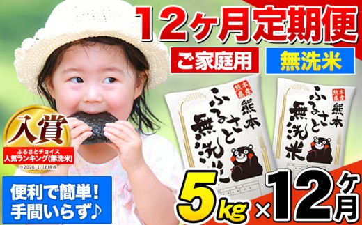 【12ヶ月定期便】無洗米 定期便《お申込み翌月から出荷》 熊本ふるさと無洗米 5kg 訳あり 米 コメ こめ 熊本県産 米 ふるさと納税 わけあり 以上のお米ならこれ お米 おこめ 熊本 SDGs むせんまい kome musennmai