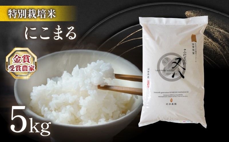 
                  【 1～2週間以内に発送 】 令和7年米 にこまる 5kg ビニール包装 ( 令和7年産 金賞受賞農家 2025年産 ブランド 米 五キロ 米 おすすめ お米 白米 精米 米 ご飯 KOME rice 内祝い 若井農園 十六代目米師又八 謹製 国産 滋賀県竜王町 ふるさと納税 白米 精米 お米 ブランド米 産地直送 こだわり 白米 こめ コメ お米 おこめ 精米 R7 数量限定 白飯 ）
                