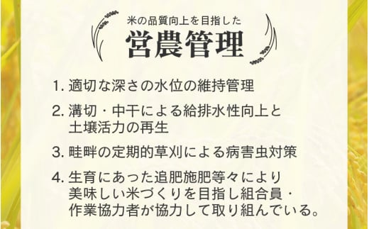 【先行予約】【令和8年産 新米】【一等米】エコ栽培コシヒカリ 白米10kg（5kg×2） ／ 鮮度抜群 福井県産 こしひかり ご飯 新鮮 白米 ※2026年10月上旬以降順次発送 [aw063-a03