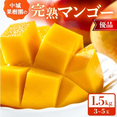 【2026年7月から順次発送・化粧箱】中城果樹園の完熟マンゴー 優品1.5kg(3～5玉)【配送不可地域：離島】