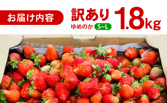 ※【2026年1月発送分／先行予約】【訳あり】【とろける甘さ、弾ける果汁！】いちご「ゆめのか」 S-Lサイズ 1.8kg / 訳あり 訳あり商品 訳あり果物 果物訳あり いちご イチゴ 苺 イチゴジャ