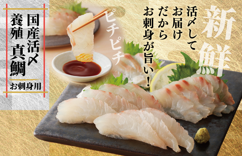 【南予ビージョイ】サーモン＆国産活〆 真鯛  お刺身セット【小分け 訳あり サイズ不揃い 刺身 海鮮丼 人気 オススメ 冷凍】 G1715