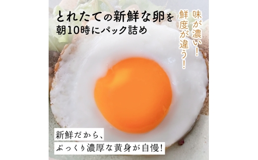 [特別定期便全12回] たまご 2回目以降はお好きなタイミングでお届け！ 坂本養鶏 大山の麓で育ったさかもとのたまご 合計360個 (30個×12回)｜伊勢原市 赤玉卵 玉子 鶏卵 生卵 国産 TKG