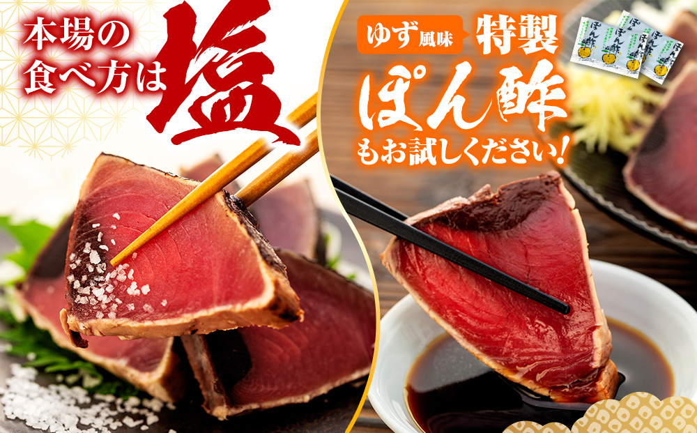 10回 定期便 鰹タタキ 3kg ぽん酢付き 高知 本場 カツオ人気 かつおのタタキ 冷凍 カツオのタタキ 鰹 瞬間冷凍 一本釣り 龍馬鰹たたき かつおのたたき かつおたたき 父の日 冷凍 お試し 個