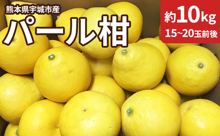 【先行予約】熊本県宇城市産 パール柑 約10kg 【2026年3月上旬から4月上旬発送予定】文旦 柑橘 フルーツ 果物 果実 みかん 蜜柑 ミカン