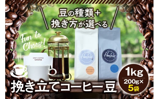 【中挽き】（ブレンド3+タンザニア2）挽き立てコーヒー豆 750gセット コーヒー豆 焙煎 コーヒー【hgo001A-b-11】