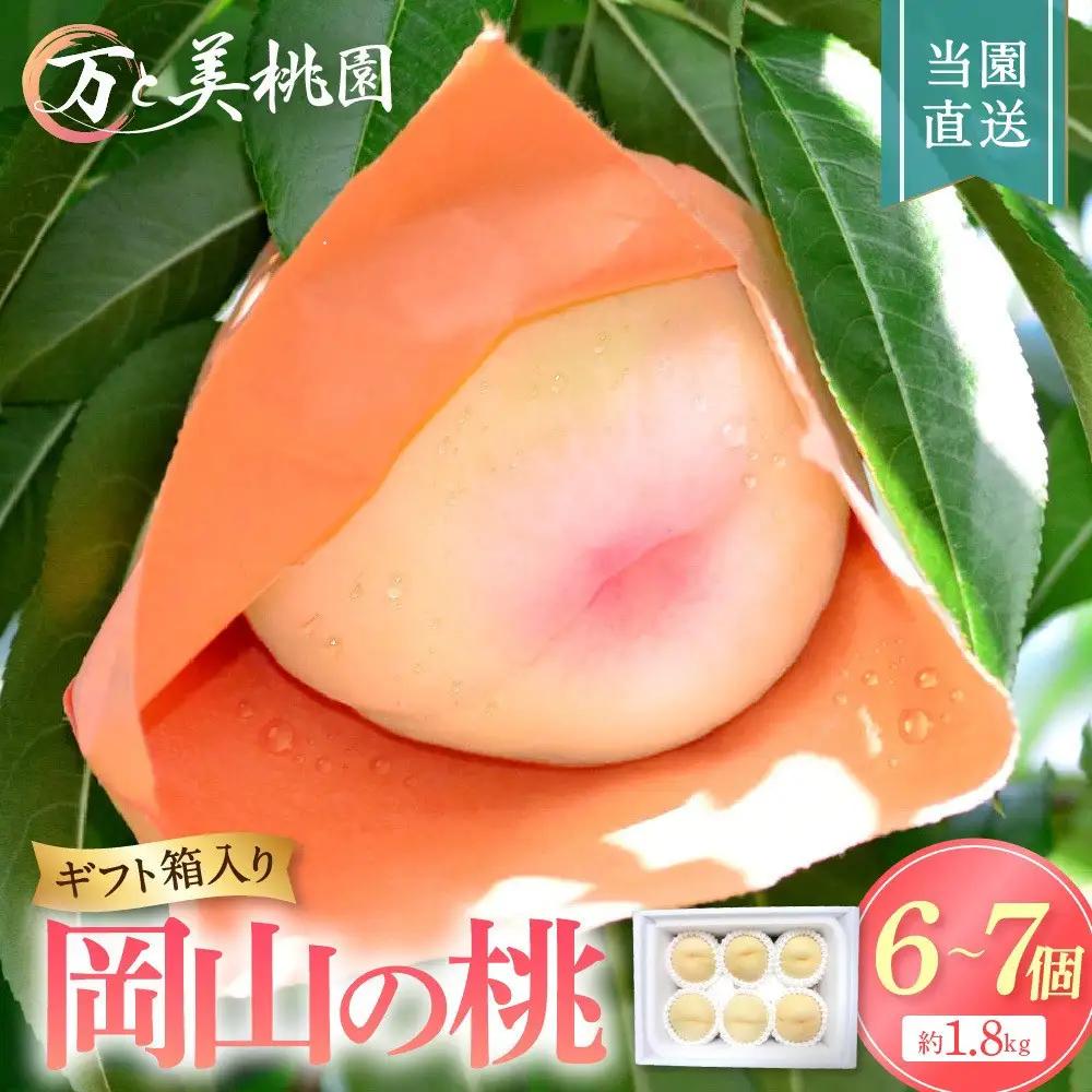 【先行予約】ふるさと納税 岡山市 桃 6-7個（約1.8kg）万と美桃園