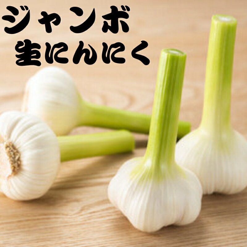 【ふるさと納税】 秘境の地からお届けする あゆみファームのご家庭用新ジャンボ生にんにく 1〜5kg【2025年6月中旬～7月上旬頃から順次発送】/ にんにく ニンニク ジャンボにんにく 予約受付 ガーリック 和歌山