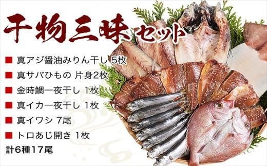 ひもの三昧セット(あじ・サバ・金時鯛・イカ・イワシ・トロあじ)
たっぷり6種17尾