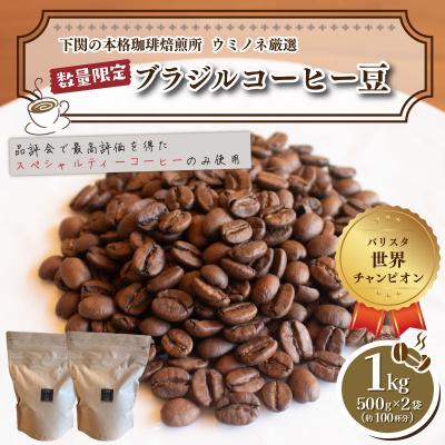 ふるさと納税 下関市 【細挽き】 訳あり コーヒー豆(ブラジル レッド カトゥアイ) 500g×2袋 EW155-D