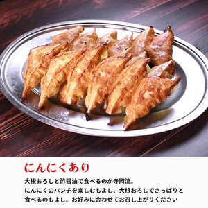 冷凍餃子 にんにくあり 90個 餃子