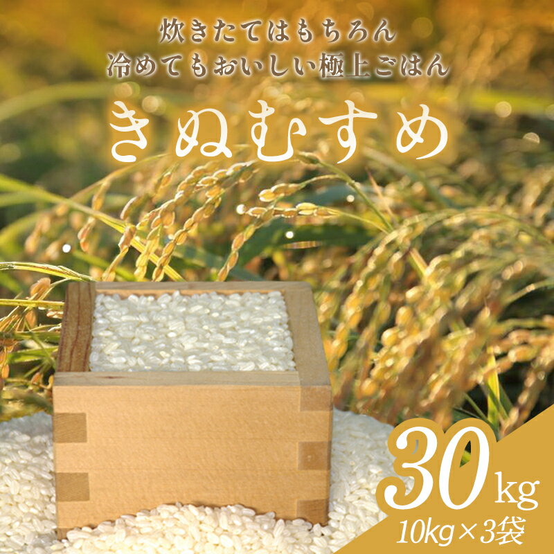 【ふるさと納税】 きぬむすめ 30kg 米 白米 ごはん お米 30キロ