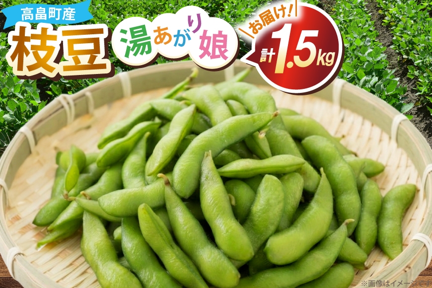 
                  【期間限定発送】 枝豆 300g 5袋 計1.5kg 【期間限定発送】[農家の店しゃんくすろーど 山形県 高畠町 tk06bcz250003] えだまめ 国産 野菜 おつまみ
                