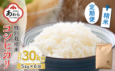 【白米】【令和5年産新米】《定期便6回》特別栽培米 コシヒカリ 5kg（計30kg）＜食味値85点以上！低農薬栽培＞ ／ 高品質 鮮度抜群 福井県あわら産 ブランド米 白米 玄米《出荷直前精米でお届け