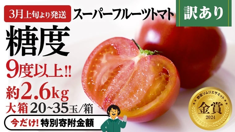 
            【9/30まで早期予約 特別寄附金額】 訳あり 糖度9度以上 スーパーフルーツトマト 大箱 約2.6kg × 1箱 (20～35玉/1箱)  2026年収穫分 先行予約 フルーツトマト ブランドトマト 野菜 ギフト 贈答 [BC038sa]
          