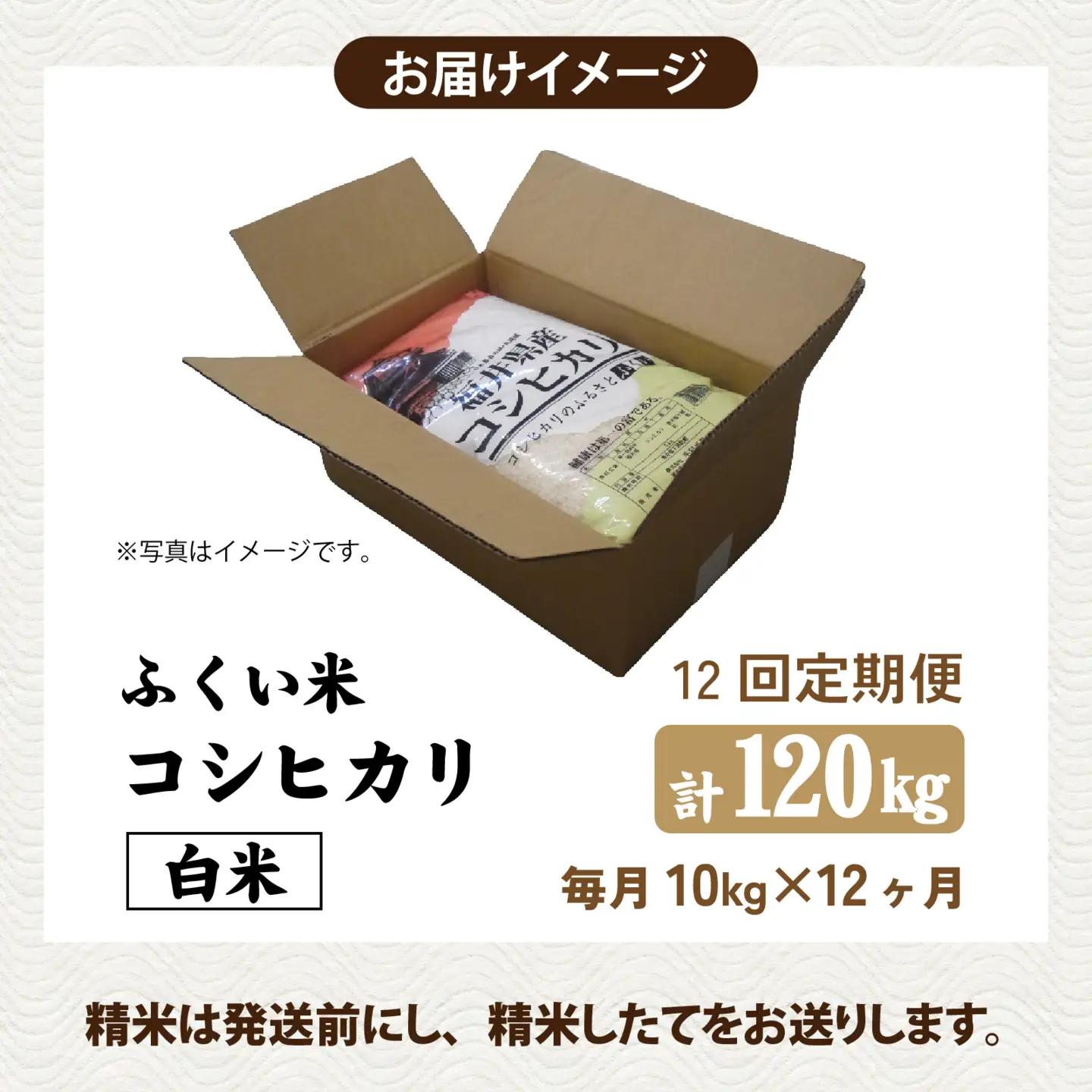 【先行予約】《定期便12ヶ月連続お届け》【ふくい米】令和8年産  福井市産コシヒカリ10kg「2026年10月上旬より順次発送」 [O-168018] | こしひかり
